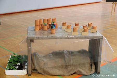 Tradicionalni Veronikin festival v znamenju »Slovenske vasi« (8)